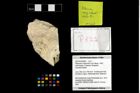 Foto (Objekt + Etikett) von Pithonoton marginatum (von Meyer, 1842)  (NHMW-GEO-2014-0194-0822)